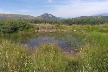 Micro-réserve Prat d'Hort 2020-2021