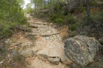Apadrina el Camí vell de Montsor 2020