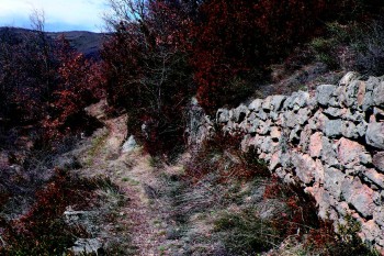Apadrina el Camino de Vilella a Xerallo 2024