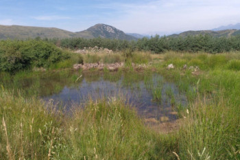 Microreserva Prat d'Hort