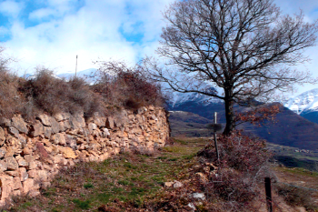 Sponsor the Montsor trail 2025