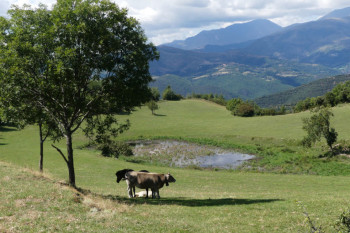 Preservem els Patamolls del Pla de Corts 2025 II