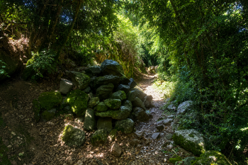 Apadrina el camí de la Pobleta a Envall 2026